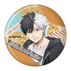 WIND BREAKER �׷׊��ޯ�� ���y �y�Ĕ́z 