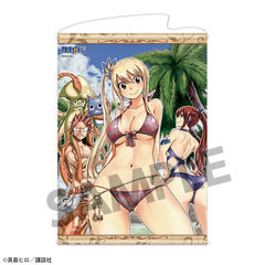 FAIRY TAIL B2 ��߽�ذ �� & ٰ�� & ʯ�߰ & �ٻ� 