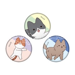 ������! �˂��ނ����΂Ȃ� �Ɗ��ޯ�޾�� C��� 