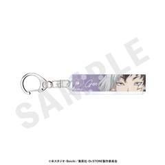 �uDr.STONE�v �`favorite series�` �ڌ����ٷ����ް (����������) 