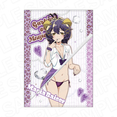 TV��� �u���@�����ɂ�������āv ���߂��� B2 ��߽�ذ ϼޱ�ް�� GAL Ver. 