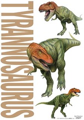 TYRANNOSAURUS (èɻٽ) 