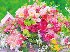 ��ݼ��߰�މԶ���ް 