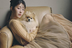 �l�Ӕ��g ����ް 