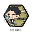 �uʲ���!!�v �Z�p�`���ޯ�� (mochocho) M-TF (�Ԉ�����)