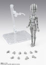 S.H.Figuarts ���ި����� -���X��- Edition-ܲ԰�ڰ�-(Gray Color Ver.)
