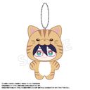 TV��� �w�ި����� -�l��˰۰����б ILLEGALS-�x �݂݂���� D ���R��