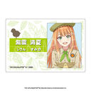 �w�������Ͻ�� ����Ȱ���ڰ� �̧� Ver. ���_����