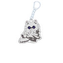 Ƭ�ĥ��ޥ�ޥ���ݸ޷��� �؂��� ���ٷ����ް ����