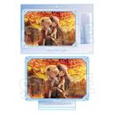 MEGA���ٽ���� ���@�����܂ǂ���Ϸ޶ Magia Exedra / �₿�� & �݂ӂ�