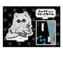 Ƭ�ĥ��ޥ�ޥ���ݸ޷��� �؂��� ����̨�ޭ� ����