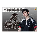 Э��޶� �w�ƽ�̉��q�l�x 4th ����� ���ꖋ �X�C��