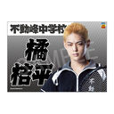 Э��޶� �w�ƽ�̉��q�l�x 4th ����� ���ꖋ �k�j��