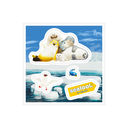 SEALOOK �ï�� / 06 �W��