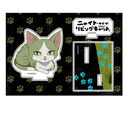 Ƭ�ĥ��ޥ�ޥ���ݸ޷��� �؂��� ����̨�ޭ� �ޮ�ݽ�