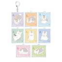 �ĖڗF�l�� �ڰ�ިݸ� Ƭݺ�搶 lette-graph ��2�e ���ٷ����ް BOX