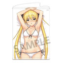 ��ذѸ��� �`�����낵 B2 ��߽�ذ ���� B