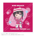WIND BREAKER ����� vivid Ver. �֖�C