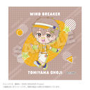 WIND BREAKER ����� vivid Ver. �e���R���q