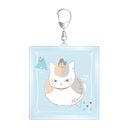 �ĖڗF�l�� Ƭݺ�搶 lette-graph ��2�e BIG���ٷ����ް ��F