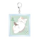 �ĖڗF�l�� Ƭݺ�搶 lette-graph ��2�e BIG���ٷ����ް �����F