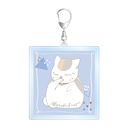 �ĖڗF�l�� Ƭݺ�搶 lette-graph ��2�e BIG���ٷ����ް ���F