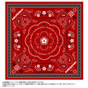 ��� �u�ްٽ�����޸ײ�v ������