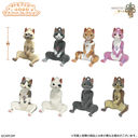 �ݽ������ܲٽ� ��ӱ�ٰ �ӂ�ӂ�Ͻ��ĺڸ��� BOX