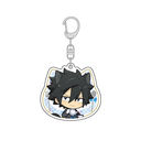 FAIRY TAIL 100�N���� ���ٷ����ް (��ڲ / �L�����d��)