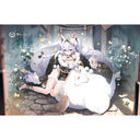 ��ް�ڰ� ��ٹ�� (�̨� II / �������̌����x�e)