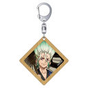 Dr.STONE �؎D�����ް / �ΐ_���