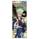 Dr.STONE ��ʂ��� / �ΐ_���