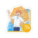 ʲ���!! �ï�� / �����ėz �J�オ��̋A�蓹