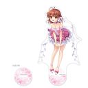 Key 25th ���屸�ٽ���� (�É͏� / Key 25th)