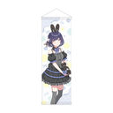 �w�������Ͻ�� B2 ʰ���߽�ذ Lady Rabbit / �`�J����