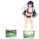 [�ڗ��̕��] �`�����낵 ���屸�ٽ���� (�r�u�� / ���V��)
