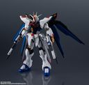 GUNDAM UNIVERSE �@����m������SEED DESTINY ZGMF-X20A STRIKE FREEDOM GUNDAM RENEWAL