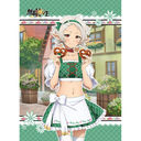 [���E�]�� II �`�ِ��E�s������{�C�����`] �`�����낵 B2 ��߽�ذ (��̨��� / �ި�����) W�����