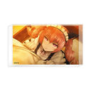 STEINS;GATE ������ۯ� / ̪�ؽ�Ƭ�Ƭ�