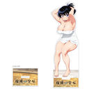 [�ڗ��̕��] �`�����낵 ���屸�ٽ���� (�r�u�� / ����)