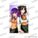 �uFate/stay night [Heaven's Feel]�v ������ڰ� B