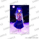 �uFate/stay night [Heaven's Feel]�v ������ڰ� C