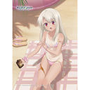 [����� �uFate/kaleid liner ��ؽ�ρ���� Licht ���O�̖��������v] �`�����낵 B2 ��߽�ذ (��� / ���Ă�) W�����