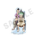 �uDr.STONE�v �߱���ٽ���� (�ΐ_��� & ����������) �y�Ĕ́z