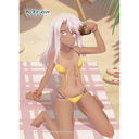 [����� �uFate/kaleid liner ��ؽ�ρ���� Licht ���O�̖��������v] �`�����낵 B2 ��߽�ذ (�۴ / ���Ă�) W�����