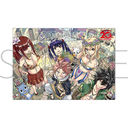 FAIRY TAIL ���ٱ������