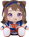 BanG Dream! ��������40cm�ʂ������ Poppin' Party �ˎR����
