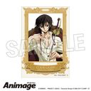 ޷ޱ tٰ Animage  E