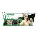 Dr.STONE NEW WORLD ٷް BIG ΐ_