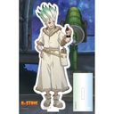 Dr.STONE ٽ (ΐ_)